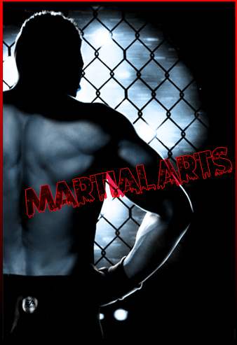 mixed martial arts