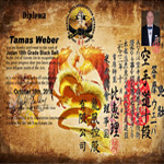 Soke Tamas Weber