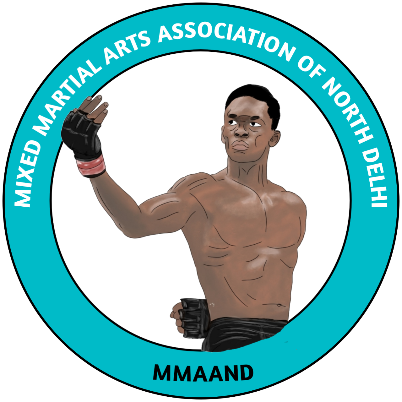 mixed martial arts north district logo